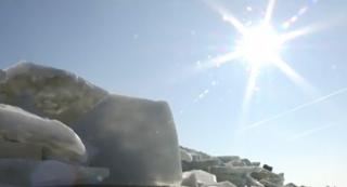 Imagini spectaculoase din Delta Dunării, după zilele geroase