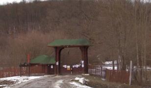 Celebra partidă de vânătoare de la Balc, umbrită de pesta porcină