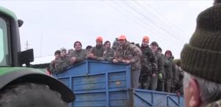 Goană organizată în Arad pentru prinderea iepurilor care au terorizat agricultorii