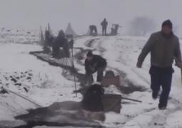 Vânătorii din Arad şi Oradea au reuşit să prindă 200 de iepuri. Animalele vor fi relocate în zone depopulate