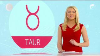 Zodiac carieră şi bani, 22 ianuarie 2019. Capricornii îşi fac planuri pentru concediu