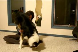 O tânără din Canada a fascinat milioane de oameni cu pozele pe care le-a făcut unor câini