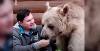 Urs crescut în sălbăticie, adoptat de un cuplu din Rusia