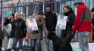 Individul care a ucis prin înfometare zeci de animale nu a putut fi arestat preventiv