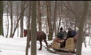 Plimbare cu sania trasă de cai, la muzeul din Dumbrava Sibiului
