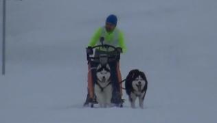 Concurs de atelaje canine, în Pasul Tihuța