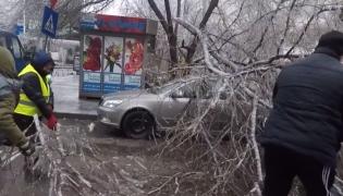 Haos în București, după episodul de ploaie înghețată. Sute de copaci au fost puşi la pământ