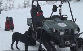 Câini dresați să salveze oameni din avalanșă. Cum decurge un antrenament