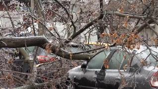 Ploaia înghețată a lăsat sute de șoferi cu mașini avariate. Haos în procesul de despăgubire