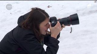 O tânără din Cluj a găsit o metodă care să-i determine pe oameni să adopte animalele fără stăpân