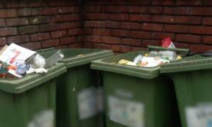 Legea risipei alimentare, în vigoare. Fiecare român aruncă peste 100 de kilograme de mâncare pe an