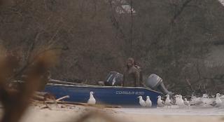 Drumul scrumbiei, din plasa pescarului, până la farfurie