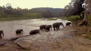 Provocările abia au început la Asia Express, cel mai dur reality show al momentului