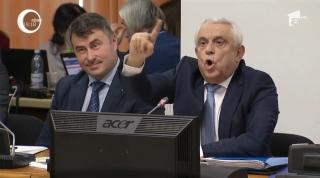 Cormoranii lui Petre Daea, subiect de scandal la dezbaterea bugetului pe 2019