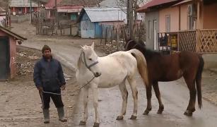 Dobromir, comuna în întregime asistată social, din Constanța
