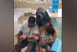 Leu de mare din Republica Dominicană, zâmbitor într-o fotografie