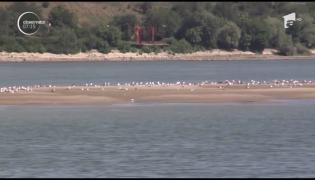 Fenomen inedit la Galaţi. În mijlocul Dunării, se ridică o nouă insulă