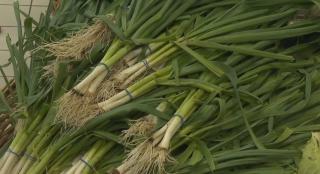 Primele legume de primăvară au apărut în magazine, dar puține sunt românești