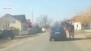 Un bărbat şi-a legat calul de maşină şi l-a târât kilometri întregi, în Dolj