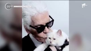 Averea de 200 de milioane de euro a lui Karl Lagerfeld, moștenită de pisica sa