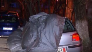 Weekend cu vreme severă în București. Zeci de copaci doborâți de rafalele de vânt