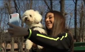 Animalele de companie pot deveni influenceri în social media