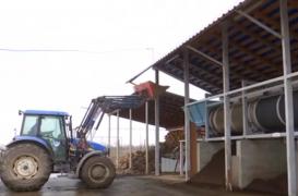 Doi antreprenori din Timiş au pus pe picioare o afacere inedită cu peste un milion de râme