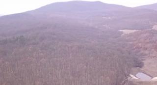 Pădurea Bejani, arie protejată de lege, defrişată ilegal de hoţii de lemne