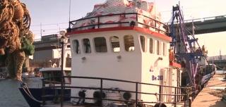 Calcanul românesc, comoară pentru braconierii turci