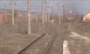 Piesaje dezolante în gările abandonate din România. Gunoaie, câini fără adăpost și culturi de roșii