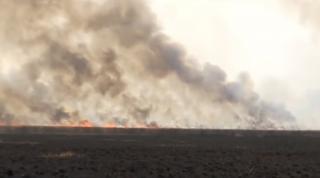 Piesaj negru în Sulina, după stingerea focului ce a pârjolit câmpuri întregi de stuf