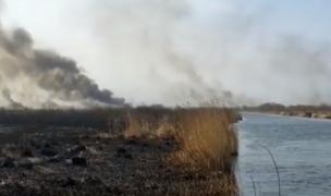 Imagini apocaliptice în Delta Dunării. Sute de hectare au fost mistuite de flăcări