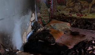 Familie din Călărași, incendiată de un fost pușcăriaș. Bărbatul și-a ars fosta iubită, după care s-a otrăvit