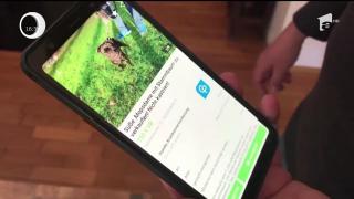 Fiscul din Germania a pus sub sechestru câinele unei familii pentru că erau în urmă cu plata taxelor