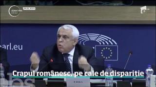 Observator de weekend