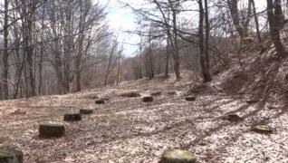 Cetatea Costeşti din Hunedoara, din ce în ce mai degradată din cauza turiştilor