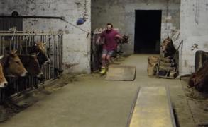 Angajat de la o fermă din Spania, vedetă pe internet