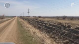 Culturile de grâu, complet compromise de secetă în sudul ţării