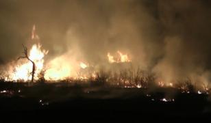 Incendiile de vegetaţie continuă să facă ravagii în ţară