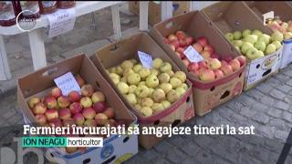 Observator de weekend