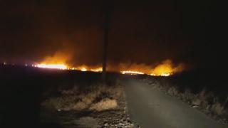 Incendiu puternic de vegetație la Murighiol, în Tulcea (Video)