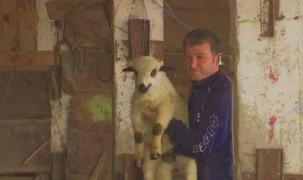 Tinerii români, încurajați să muncească la sat, în agricultură