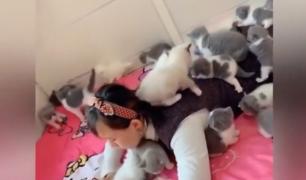 Tânără din China, asaltată de zeci de pisoi jucăuși