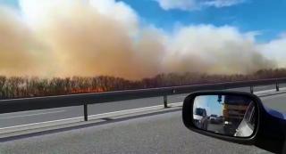Scene de haos din cauza unui incendiu de vegetație, pe Autostrada A1