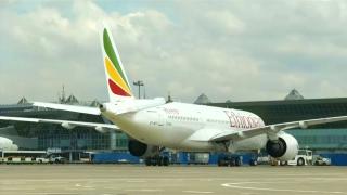 Avioane Boeing 737 Max-8, la sol după catastrofa din Etiopia. Modelul, cumpărat și în România