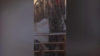 Tânăr cu un pistol în mână, filmat în traficul din Bucureşti, încercând să scoată un şofer din maşină (Video)