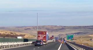 Un tânăr care a lovit cu mașina un câine pe autostradă a câștigat despăgubiri în instanță