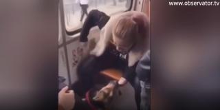Un câine e bătut cu pumnii, cu ură, de stăpâna lui, într-un tramvai din Bucureşti (video)