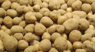 Cartofii românești, mai puțini și tot mai scumpi