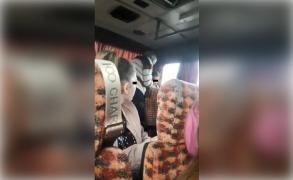 Elev din Roman, snopit în bătaie de şoferul unui autobuz, pentru că asculta muzică (Video)